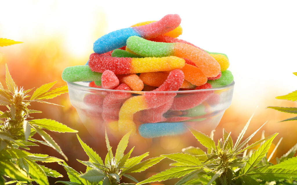 delta-8-thc-gummies-as-an-important-cbd-product-amazing-articles-to